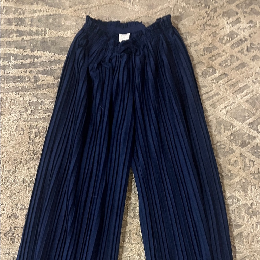 Zara Navy Wide Leg Pleated Pants